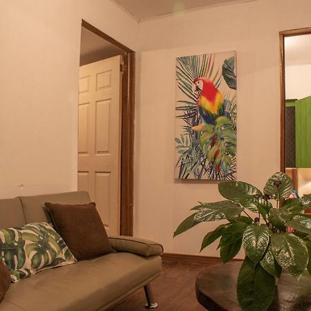 Finca D'Elia Lodge بويرتو ليمون المظهر الخارجي الصورة