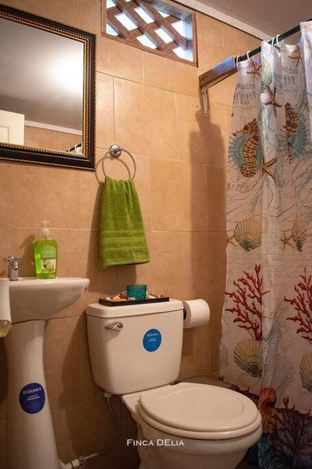 Finca D'Elia Lodge بويرتو ليمون المظهر الخارجي الصورة
